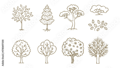 Line Art Tree Collection: A series of meticulously crafted line art illustrations showcasing the elegance and diversity of trees in various shapes and forms.
