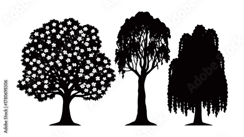 Silhouette Trees: A trio of diverse trees, their silhouettes providing a striking contrast against the scene, evokes a sense of natural beauty and serene.
