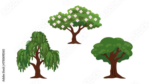 Botanical Trio: Three distinct tree illustrations showcasing a variety of shapes and foliage, perfect for illustrating ecological concepts, landscape designs or any project requiring natural elements.