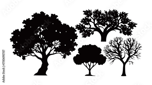 Tree Silhouettes: An artistic collection of various tree silhouettes, perfect for nature-themed projects. These evocative silhouettes add a touch of natural beauty and can enhance any design.