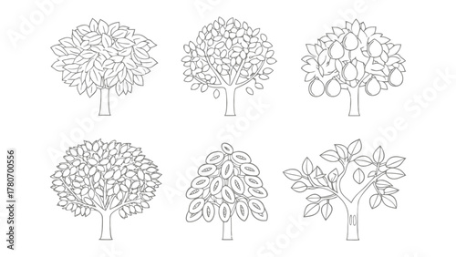 Assortment of Tree Outlines: A collection of diverse tree outlines, each exhibiting unique foliage structures, perfect for various design applications.