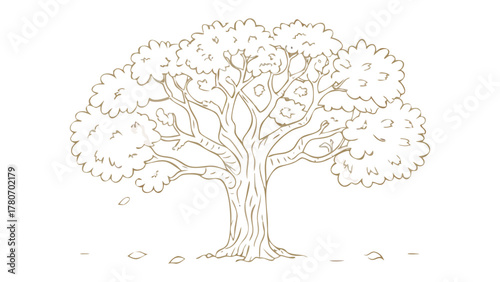Line Art Oak Tree: A majestic oak tree, its branches reaching skyward, stands as a testament to nature's enduring beauty, captured in elegant line art.