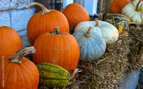 Assorted pumpkins and gourds in orange, grey, and green tones arranged on hay bales, symbolising autumn harvest and seasonal decoration
