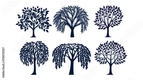 Tree Collection: Six distinct tree illustrations offer a variety of styles, suitable for decorative use, artistic compositions, or symbolic representations, each with unique leaf and branch patterns.