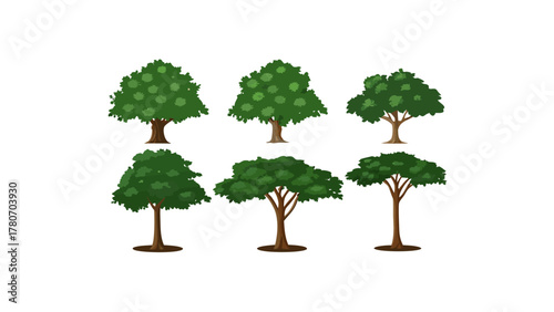 Collection of Diverse Trees: A vibrant collection of meticulously illustrated trees, showcasing various forms and textures, standing as symbols of nature's varied splendor and ecosystem.