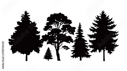 Silhouette Symphony of the Forest: The silhouettes of various trees, showcasing their unique shapes and textures, stand as a testament to the diverse beauty of the natural world.