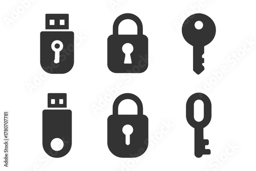 Usb devices, padlocks, and keys icons for security and access concepts.