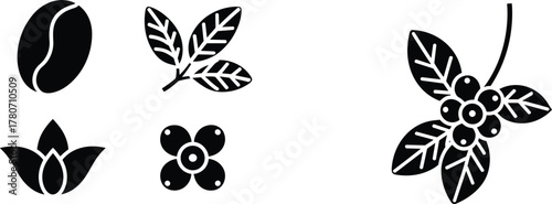 Coffee Bean Plant Leaves Berries and Flower Icons Keywords: coffee, bean, plant, leaves, berries