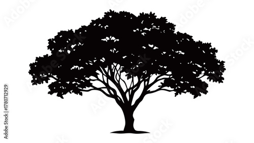 Silhouette Tree in Light: A stately tree silhouetted against a bright background, showcasing its intricate branches and lush canopy in a display of natural grandeur. 