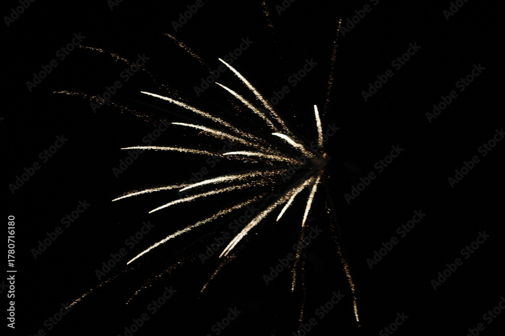 Fototapeta premium Firework at riverbank in Japan