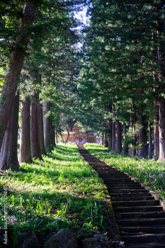Fototapeta premium 杉林の参道を通り、石段の先に佇む神社の山門