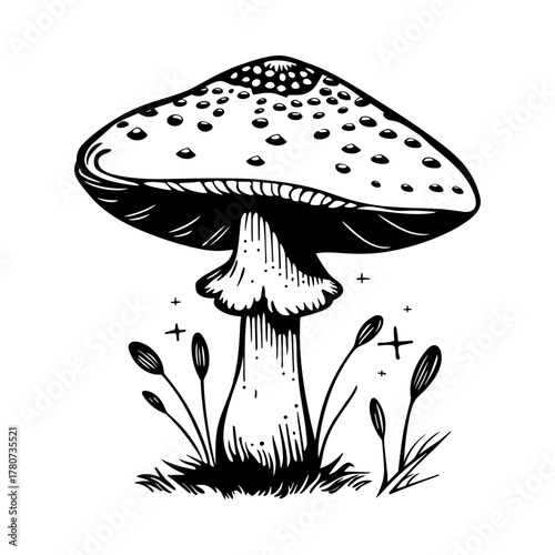 Hallucinogenic mushroom vector design element. Hand drawn Amanita poisonous mushroom. Autumn doodle icon
