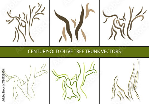 6 pack Century-old olive tree trunk vectors 