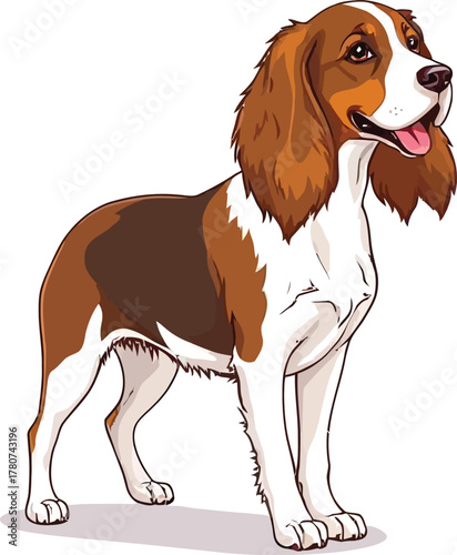 Cute cartoon a illustrator vector Brittany spaniel