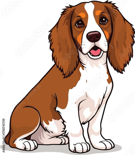 Cute cartoon a illustrator vector Brittany spaniel