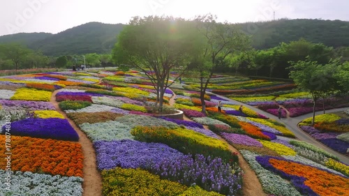 Huagu Qiyuan Flower Sea Landscape in Changzhou