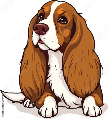 Cute cartoon a illustrator vector Brittany spaniel