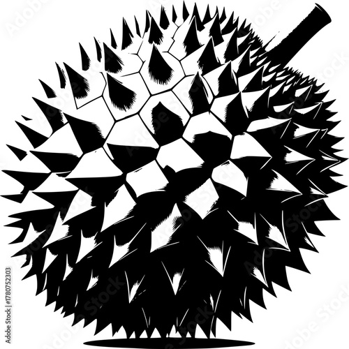 Exotic Durian Fruit: A graphic illustration showcases the unique texture and form of the Durian fruit, known for its spiky exterior.