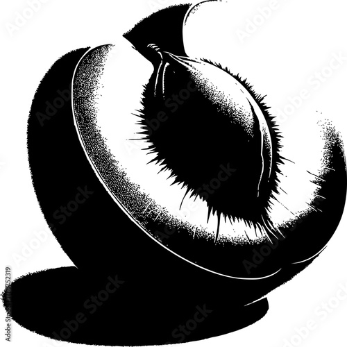 Peach’s Core Revelation: An intricate black and white illustration dissecting a ripe peach, its succulent flesh surrounding a central pit