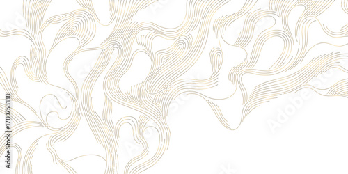 Elegant vector abstract golden line pattern, Asian topography, mountains, rivers, natural contours, luxury modern design. Backgrounds, wallpapers, packaging, premium graphic