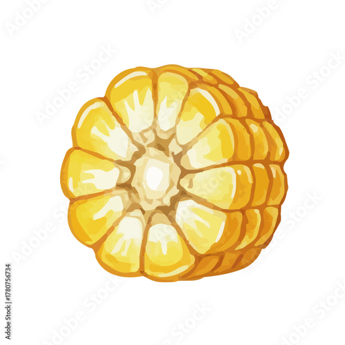 Vector watercolor vegetable / 水彩テイストのとうもろこしイラスト