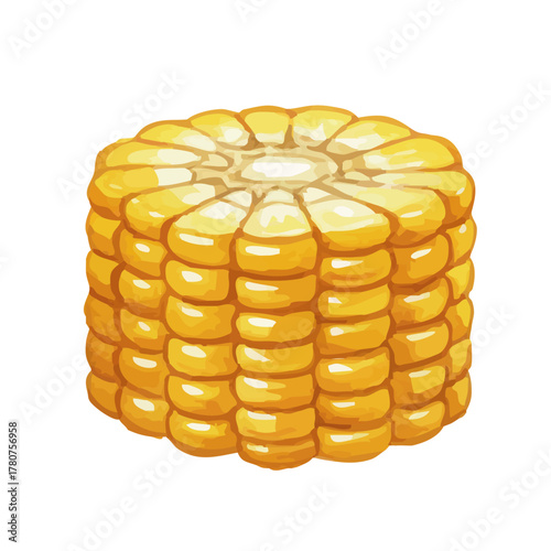 Vector watercolor vegetable / 水彩テイストのとうもろこしイラスト