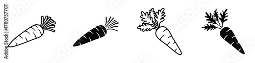 Carrot icon in linear and clipart style pack on white background.