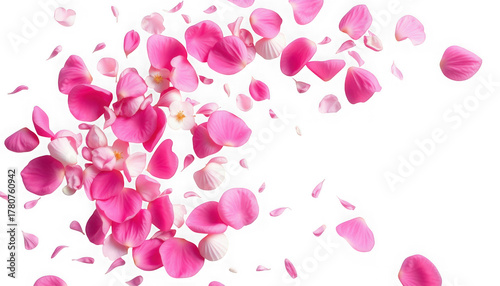 Scattered pink petals transparent background perfect for spring designs and overlays