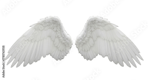 white angel wings isolated on white background