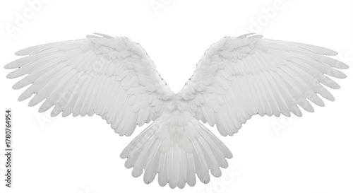 white angel wings isolated on white background