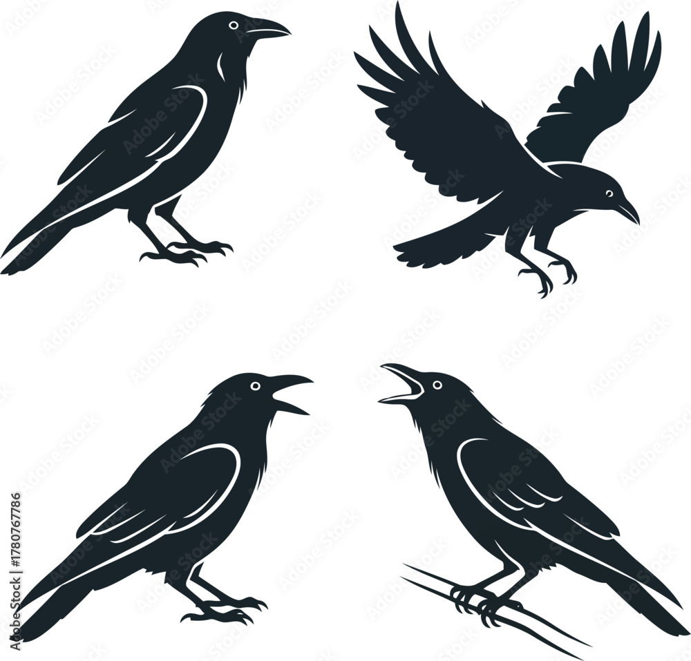 Fototapeta premium Four dark silhouette crows in different poses raven