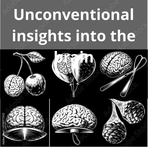 Unconventional insights into the brain illustrated with detailed sketches  