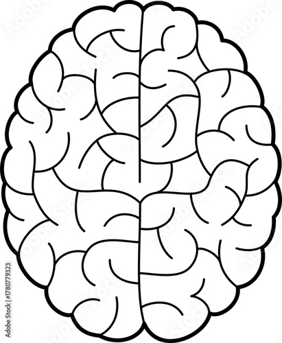 Brain detailed hemispheres, intellect and cerebral mental skills vector line art illustration.