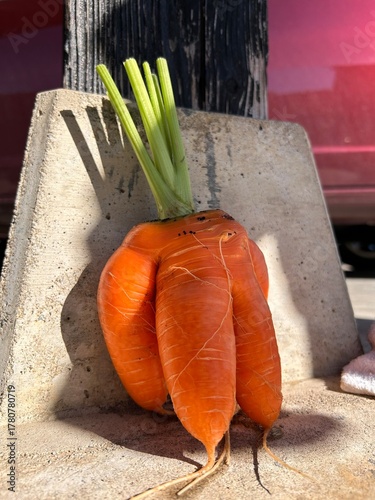 fresh vegetables on the table