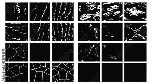bento grid of leaf silhouettes from different tree species, black vector on white.