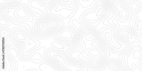 Topographic map background geographic line map with elevation assignments. Abstract Topographic background. Geographic line map. Vector illustration. 