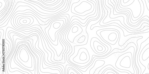 Topographic map background geographic line map with elevation assignments. Abstract Topographic background. Geographic line map. Vector illustration. 