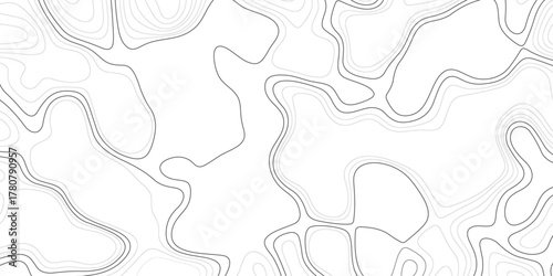 Topographic map background geographic line map with elevation assignments. Abstract Topographic background. Geographic line map. Vector illustration. 