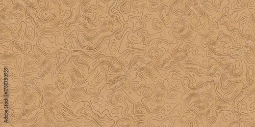 contour topographic wave nature curve geography outline technology map shape terrain background.  it is an abstract representation of terrain, with subtle variations in color.