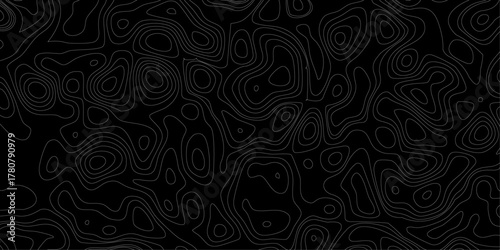 The grey white on black contours vector topography stylized height of the lines. Topographic map lines, contour background. Abstract line of the topographic map.