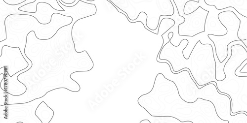 Topographic map background geographic line map with elevation assignments. Abstract Topographic background. Geographic line map. Vector illustration. 