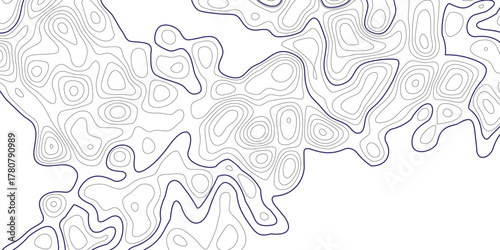 Topographic map background geographic line map with elevation assignments. Abstract Topographic background. Geographic line map. Vector illustration. 