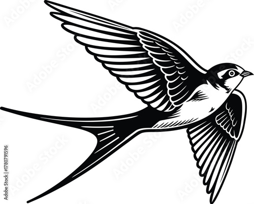 A majestic black bird with wings outstretched soars gracefully in mid-flight against a stark white background showcasing its powerful flight.