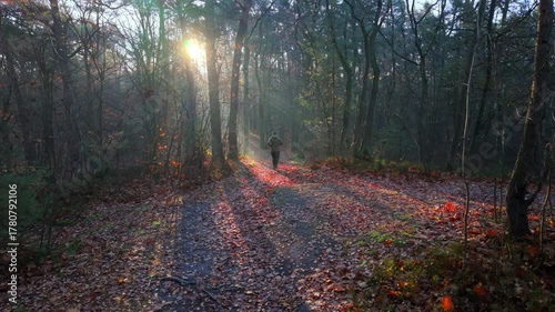 Rear view of a 45-year-old man jogging through a forest on an autumn morning, illuminated by the rising sun.