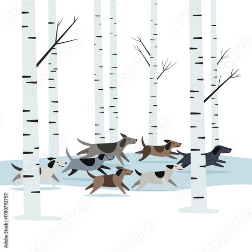 Sled dogs running through fresh powder snow in a birch forest  