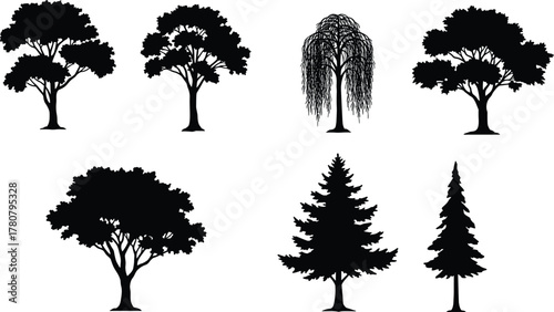Silhouette of different tree types, black and white forest illustration, nature vector design, eco environment elements, isolated landscape artwork