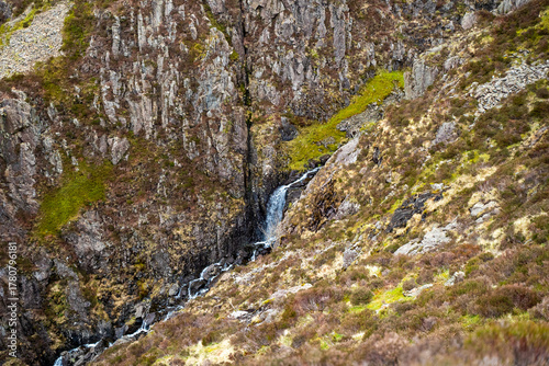 moss covered rocks