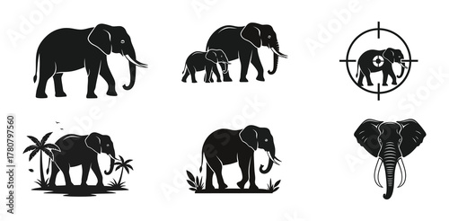 Collection of six monochrome elephant vector graphics. Set includes safari animal silhouettes, family icons, and wildlife conservation symbols for logos