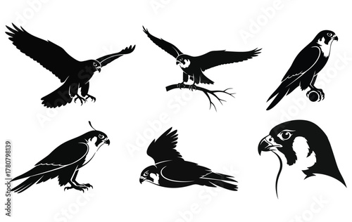 Set of six predatory falcon bird icons in various dynamic poses. Black and white vector illustrations of a bird of prey for logos and emblems 27