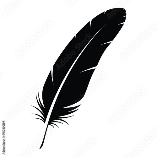 Elegant feather silhouette on a white background detailed vector art